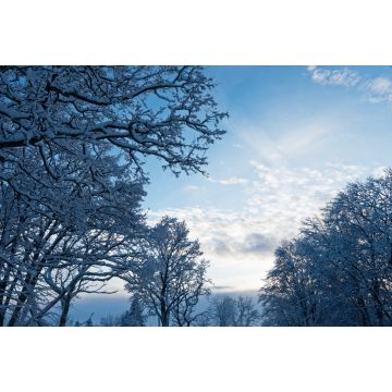 Lais Puzzle - Winter in Skövde, Sweden - 2.000 Teile