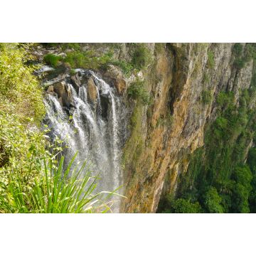 Lais Puzzle - Purlingbrook Falls im Springbrook Nationalpark, Queensland in Australien - 2.000 Teile