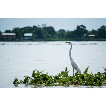 Lais Puzzle - Samborondón-Guayas Ecuador - 2.000 Teile