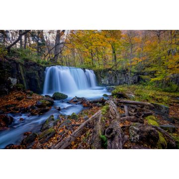 Lais Puzzle - Choshi-Wasserfall, Japan - 2.000 Teile