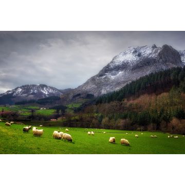 Lais Puzzle - Schafe in Arrazola, Euskal Autonomia Erkidegoa, Spanien - 2.000 Teile
