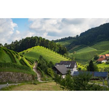Lais Puzzle - Ein Spaziergang durch die Gemeinde Durbach im Ortenaukreis, Deutschland - 2.000 Teile