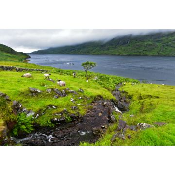 Lais Puzzle - Killary Harbour, Irland - 2.000 Teile