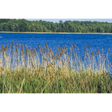 Lais Puzzle - Doba, Poland, Ermland-Masuren - 2.000 Teile