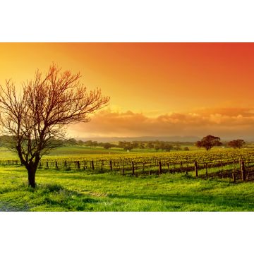 Lais Puzzle - Weinbergslandschaft - 2.000 Teile