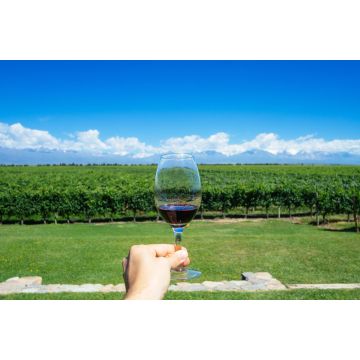 Lais Puzzle - Männliche Hand hält ein Glas Wein mit Anden und Weingut im Hintergrund in Mendonza, Argentinien - 2.000 Teile