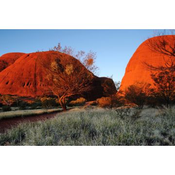 Lais Puzzle - Australien Landschaft: Roter Fels von Alice Spring, Yulara, Mutitjulu, Northern Territory - 2.000 Teile