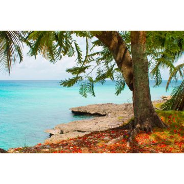 Lais Puzzle - SAN ANDRES INSEL STRASSE - KOLUMBIEN - 2.000 Teile