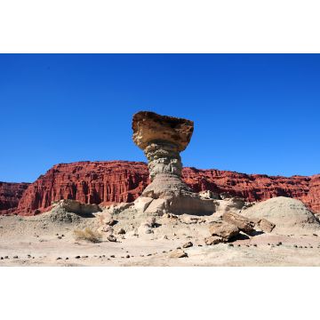 Lais Puzzle - Blick auf die Formation El Hongo im Ischigualasto Provincial Park oder Valle de la Luna, San Juan, Argentinien. - 2.000 Teile