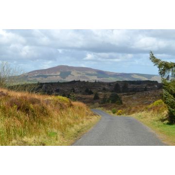 Lais Puzzle - Slieve Gullion vom Black Mountain, Cooley Mountains, Grafschaft Louth, Irland - 2.000 Teile