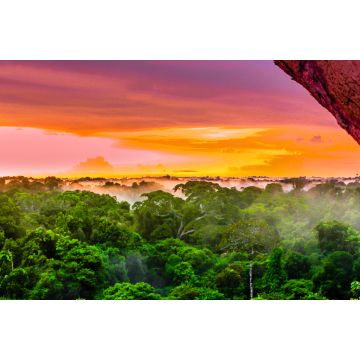 Lais Puzzle - Blick auf lila Sonnenuntergang über Regenwald bei Leticia in Kolumbien - 2.000 Teile