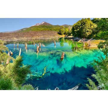 Lais Puzzle - Lago Arcoiris bei Conguillio N.P. (Chile) - 2.000 Teile
