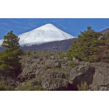 Lais Puzzle - Der schneebedeckte Gipfel des Vulkans Antuco (2.979 m) erhebt sich über einem bewaldeten Tal im Nationalpark Laguna de Laja in der Bio-Bio-Region von Chile - 2.000 Teile