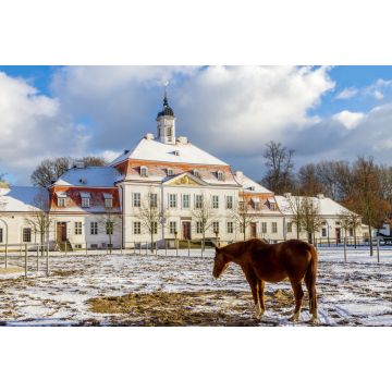 Lais Puzzle - Brandenburgisches Haupt- und Landgestüt Neustadt Dosse - 2.000 Teile