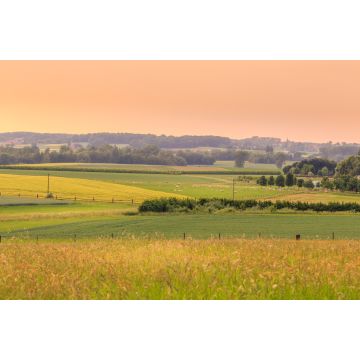 Lais Puzzle - Sonnenuntergang über einer grünen Landschaft mit Schafen und einem kleinen Dorf im Frühling. Tienen, Flandern Belgien - 2.000 Teile