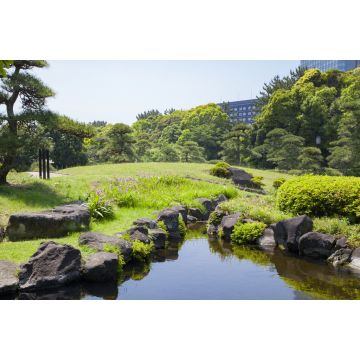 Lais Puzzle - Mihama-en-Garten, Japan - 2.000 Teile
