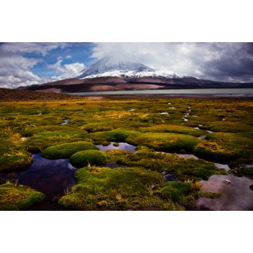 Lais Puzzle - Chile, Lauca-Nationalpark - 2.000 Teile