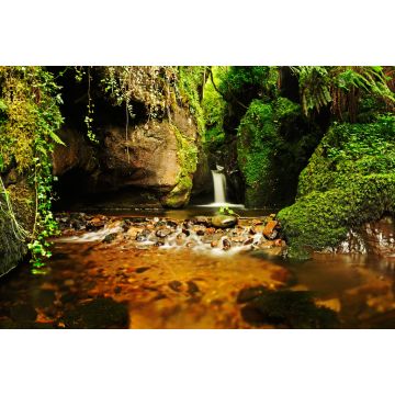 Lais Puzzle - Eine schöne Schlucht mit Wasserfall und üppiger Vegetation. Dollar Glen, Clackmannanshire, Schottland, UK - 2.000 Teile