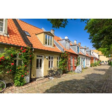 Lais Puzzle - Mollestien Straße, Aarhus, Dänemark - 2.000 Teile
