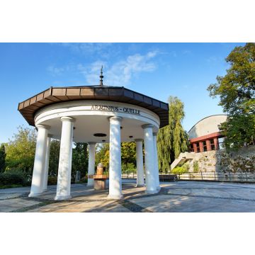 Lais Puzzle - Arminius-Quelle in Bad Lippspringe - 2.000 Teile