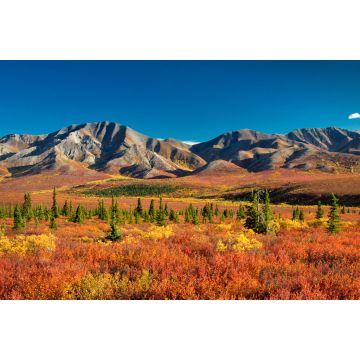 Lais Puzzle - Denali Nationalpark Alaska - 2.000 Teile