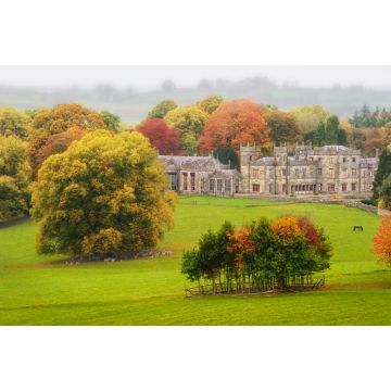 Lais Puzzle - Zurück in die Vergangenheit: unter einem grauen Himmel an einem herrlichen Herbstmorgen, allein in einem Park, der nur von Rehen, Pferden und Kühen begleitet wird, Lough Fea, Carrickmacross, County Monaghan, Irland - 2.000 Teile