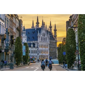 Lais Puzzle - Leuven, Belgien Blick auf die Kuppeln des Historischen Rathauses von Leuven, bei Bondgenotenlaan, goldener Sonnenuntergang - 2.000 Teile