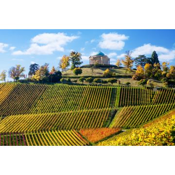 Lais Puzzle - Stuttgart Deutschland Landschaftsansicht des Mausoleums und der Weinberge von Rotenberg - 2.000 Teile