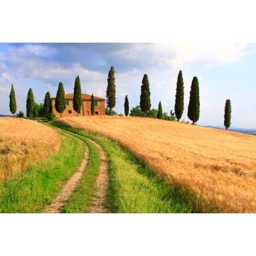 Lais Puzzle - Toskana Landschaft Zypressen - 2.000 Teile