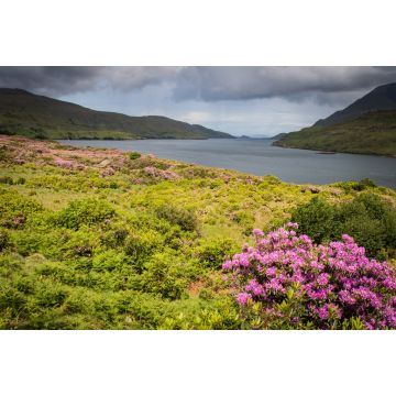 Lais Puzzle - Killary Harbour, Irland - 2.000 Teile