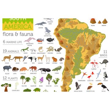 Lais Puzzle - Südamerika Flora und Fauna - 2.000 Teile