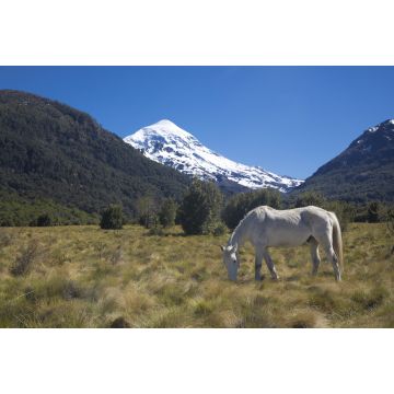 Lais Puzzle - Südwand des Vulkans Lanin im Lanin-Nationalpark, Neuquén, Argentinien - 2.000 Teile