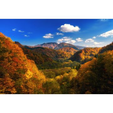 Lais Puzzle - Herbstlich bunter Berg in Tohoku, Japan - 2.000 Teile