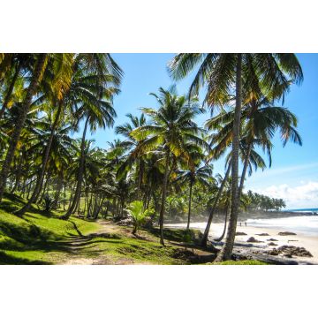 Lais Puzzle - Wunderschöner Itacare-Strand in Brasilien - 2.000 Teile
