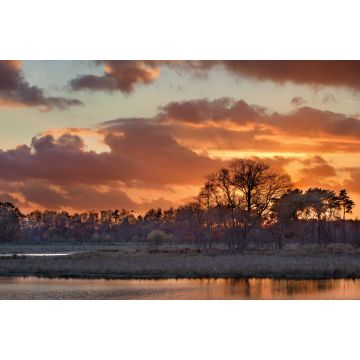 Lais Puzzle - Schöner roter Sonnenuntergang in einem Feuchtgebiet, Turnhout, Belgien - 2.000 Teile