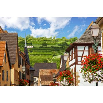 Lais Puzzle - Rouffach. Blick auf die Weinberge vom Dorf aus, Elsass - 2.000 Teile