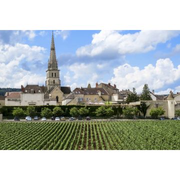 Lais Puzzle - Meursault, Burgund, Frankreich - 2.000 Teile