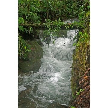 Lais Puzzle - Wasserfall Ecuador - 2.000 Teile