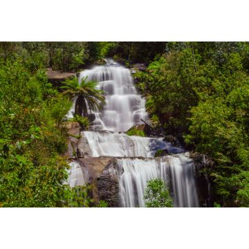 Lais Puzzle - Wunderschöne Fainter Falls im australischen Urwald. Kiewa Tal, Victoria, Australien - 2.000 Teile