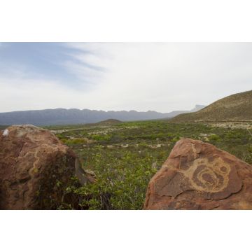Lais Puzzle - Petroglyphe boca de Potrerillos, Nuevo León, Mexiko - 2.000 Teile