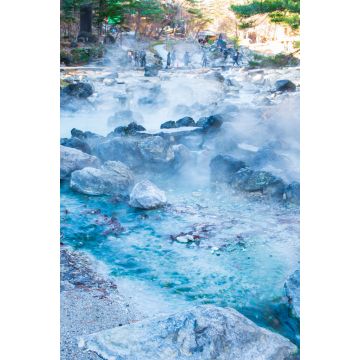 Lais Puzzle - Sainokawara Park. Gunma, Japan - 2.000 Teile