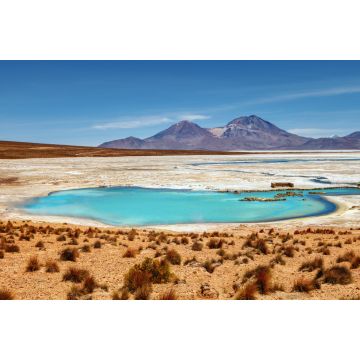 Lais Puzzle - Wunderschöne Landschaft der heißen Quellen Polloquere, in Salt Surire, Isluga Volcano National Park, mehr als 4000 Meter entfernt, Chile - 2.000 Teile