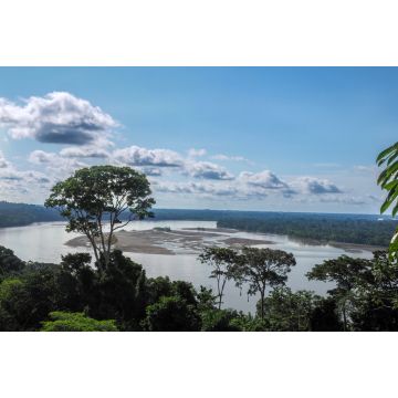Lais Puzzle - Napo, Yasuni-Nationalpark, Ecuador - 2.000 Teile