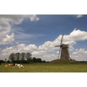 Lais Puzzle - Windmühle bei Bronkhorst - 2.000 Teile