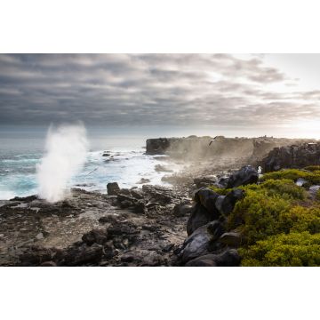 Lais Puzzle - Galapagos-Inseln, Ecuador - 2.000 Teile