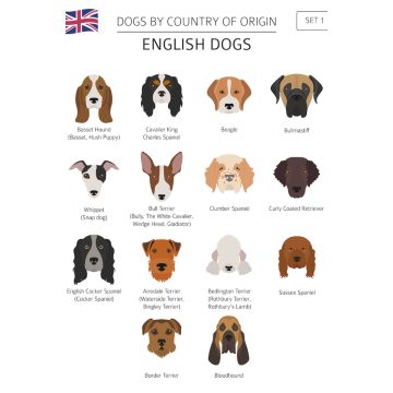 Lais Puzzle - Hunde Großbritanniens - 2.000 Teile