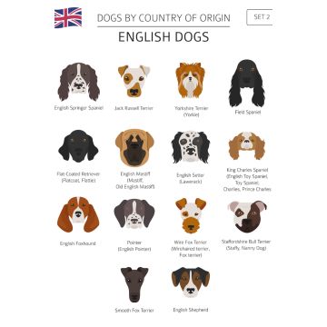 Lais Puzzle - Hunde Großbritanniens - 2.000 Teile