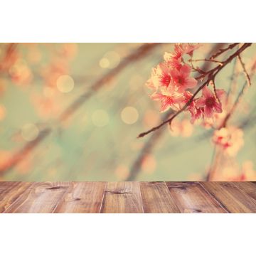 Lais Puzzle - Kirschblüte über Tisch - 2.000 Teile