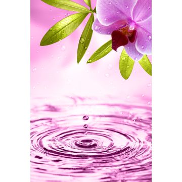 Lais Puzzle - Orchidee - 2.000 Teile