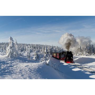 Lais Puzzle - Die Brockenbahn mit der Lok 99 7241-5 der Harzer-Schmalspurbahne - 2.000 Teile